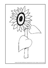 Sonnenblume.pdf